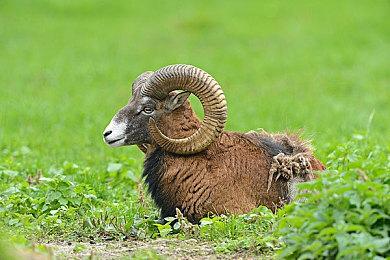 《3番线》6月登陆Steam 类8番出口恐怖解谜新游