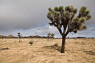 「空之轨迹 the 1st」最新公开信息 记录各式数据的”手册”系统， ”工房都市-蔡斯”及登场角色